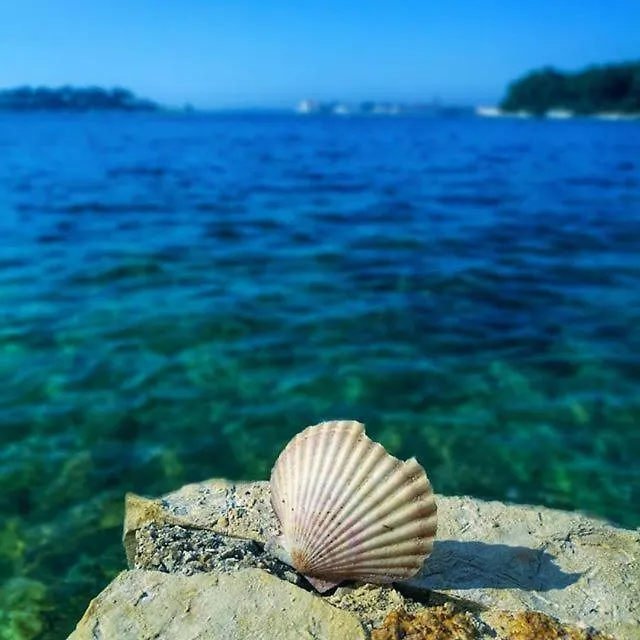 Apartmani Marina Porec Apartment